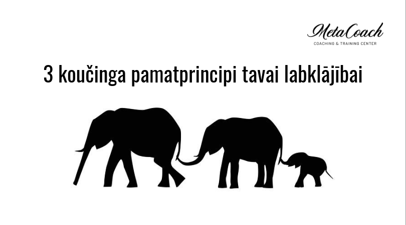 3 koučinga pamatprincipi tavai labklājībai