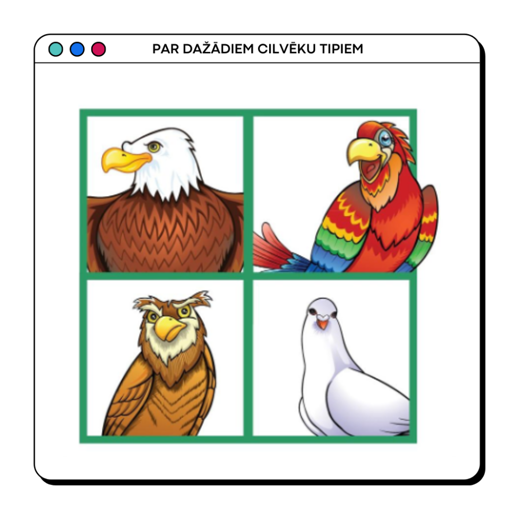 Par dažādiem cilvēku tipiem