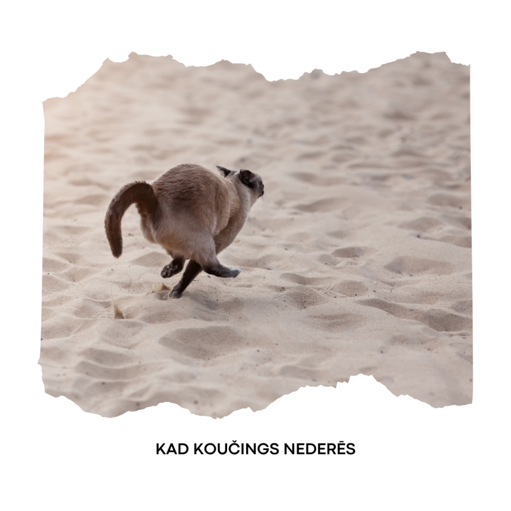 Kad koučings nederēs